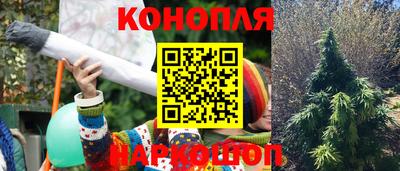 ешки Будённовск