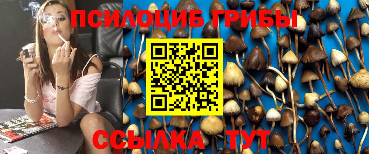 Ноябрьск  Галлюциногенные грибы Psilocybe  Вход с VPN 
